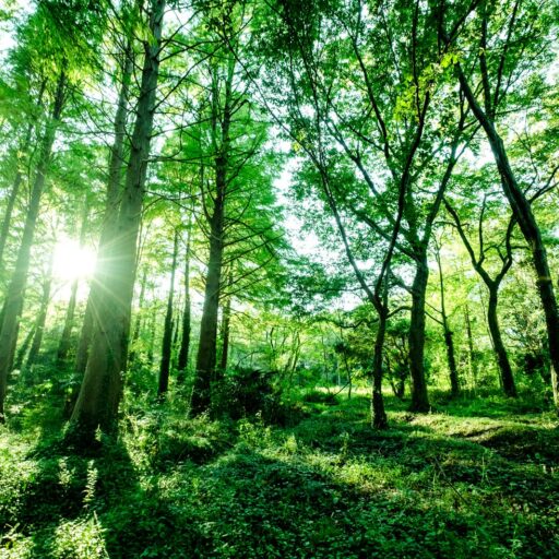 介護施設の入所費用が高いと感じたら｜特定入所者介護サービス費で負担を軽減する方法